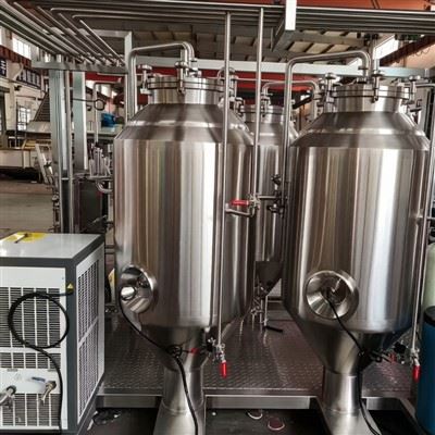 100L Brewhouse