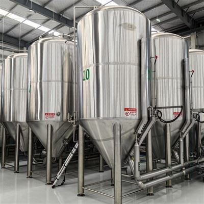 Steel Conical Fermenter